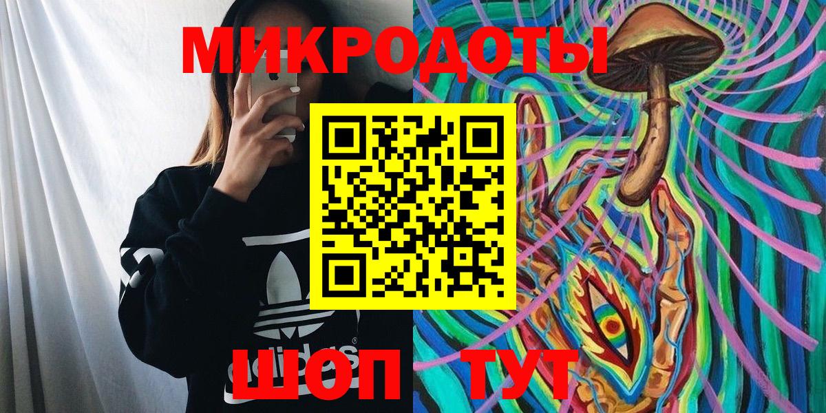 Псилоцибиновые грибы Psilocybe  Вход с VPN  Урус-Мартан 